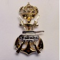 Pin Automovilismo Infantería de Marina chapado