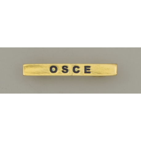 Barra mision " OSCE "