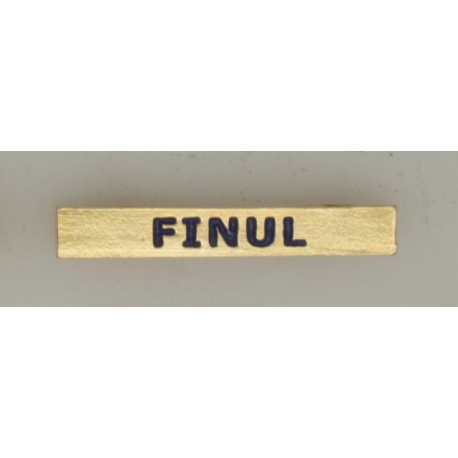 Barra mision " FINUL "