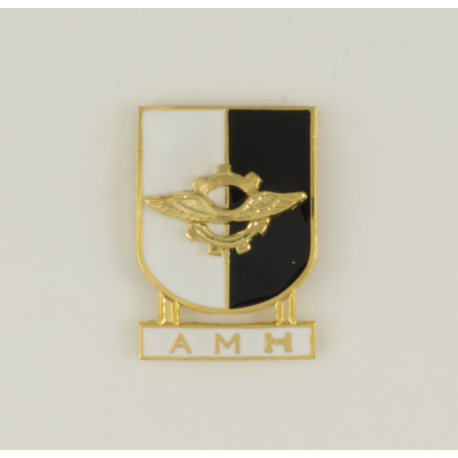 Distintivo Especialidad AMH