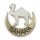 DISTINTIVO SAHARA