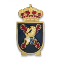 Distintivo PERMANENCIA FMA